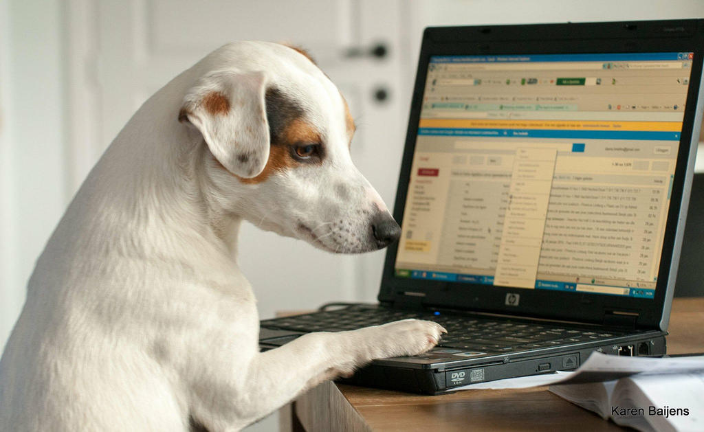 A Beginner’s Guide to Computers Superprof